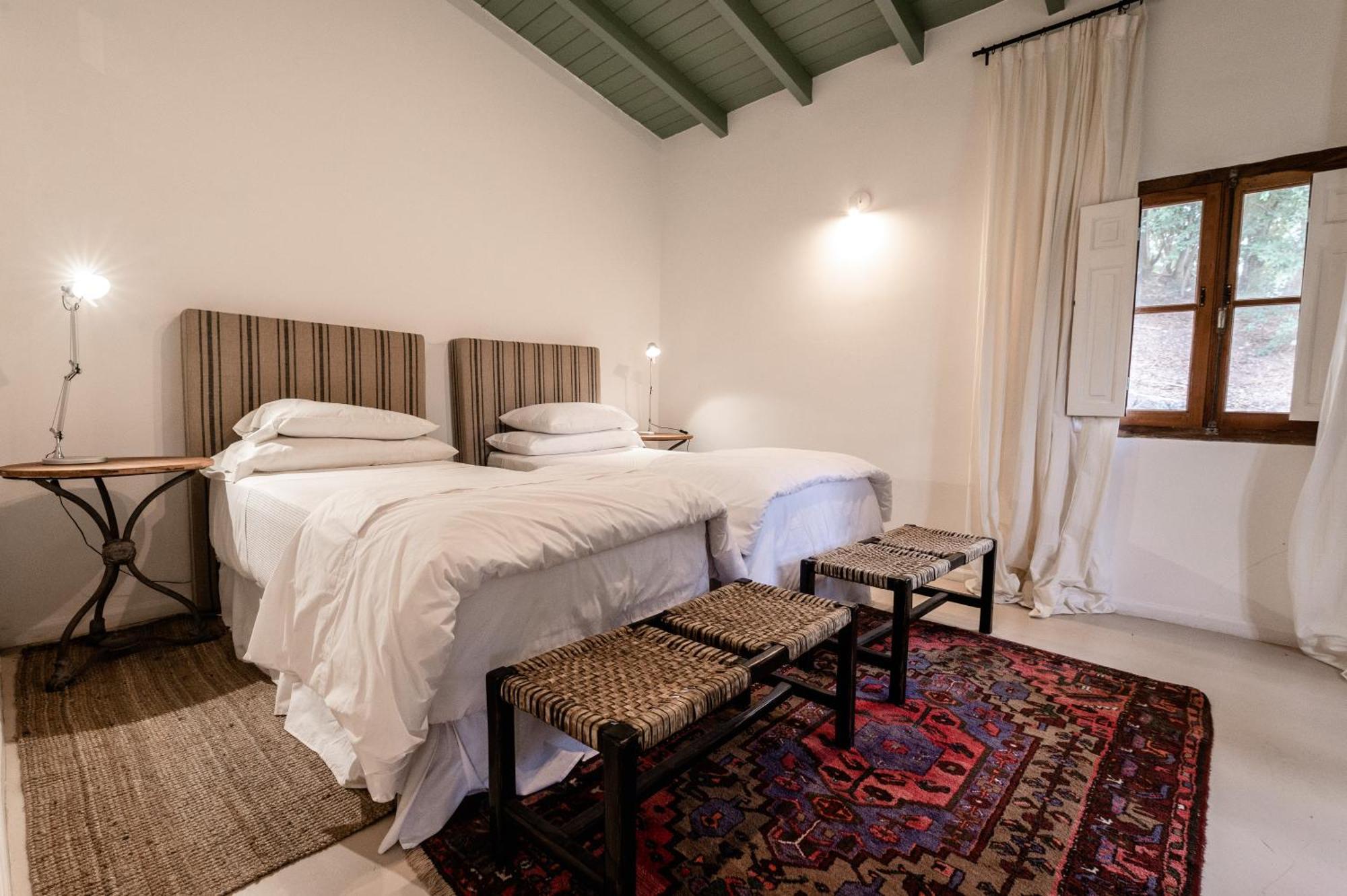 Scratch House Hotel Boutique Villa Allende Εξωτερικό φωτογραφία